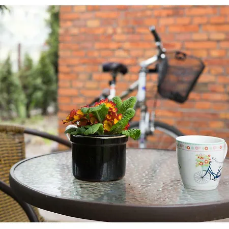 Apartment Garden Gostynin