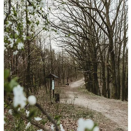Apartment Garden Gostynin